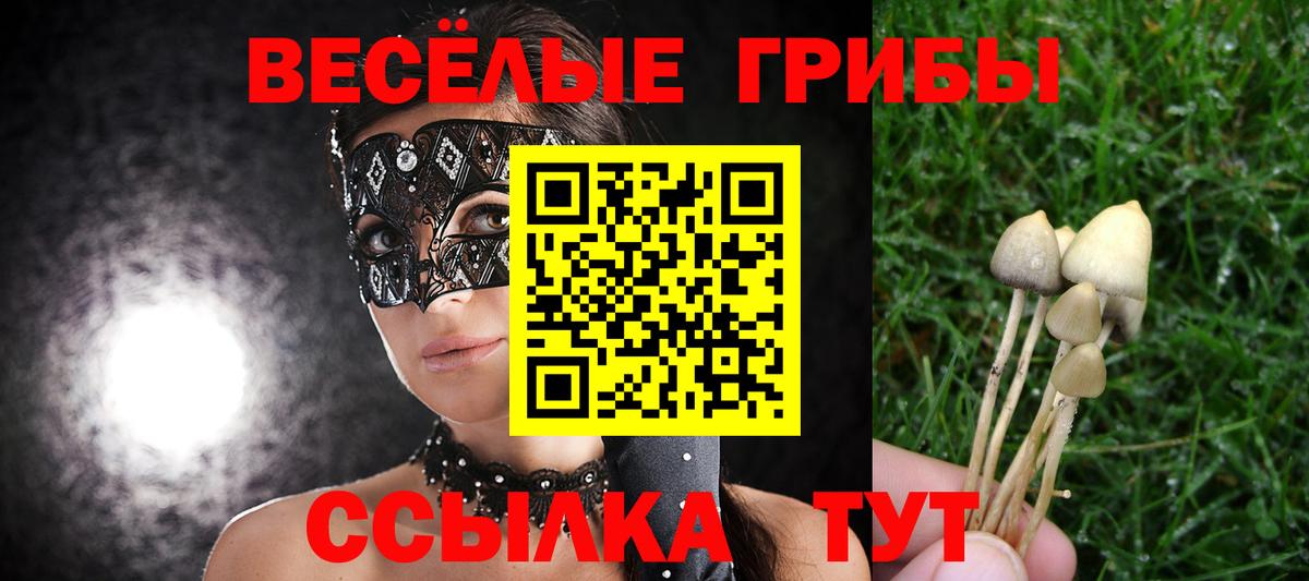Псилоцибиновые грибы ЛСД Великие Луки